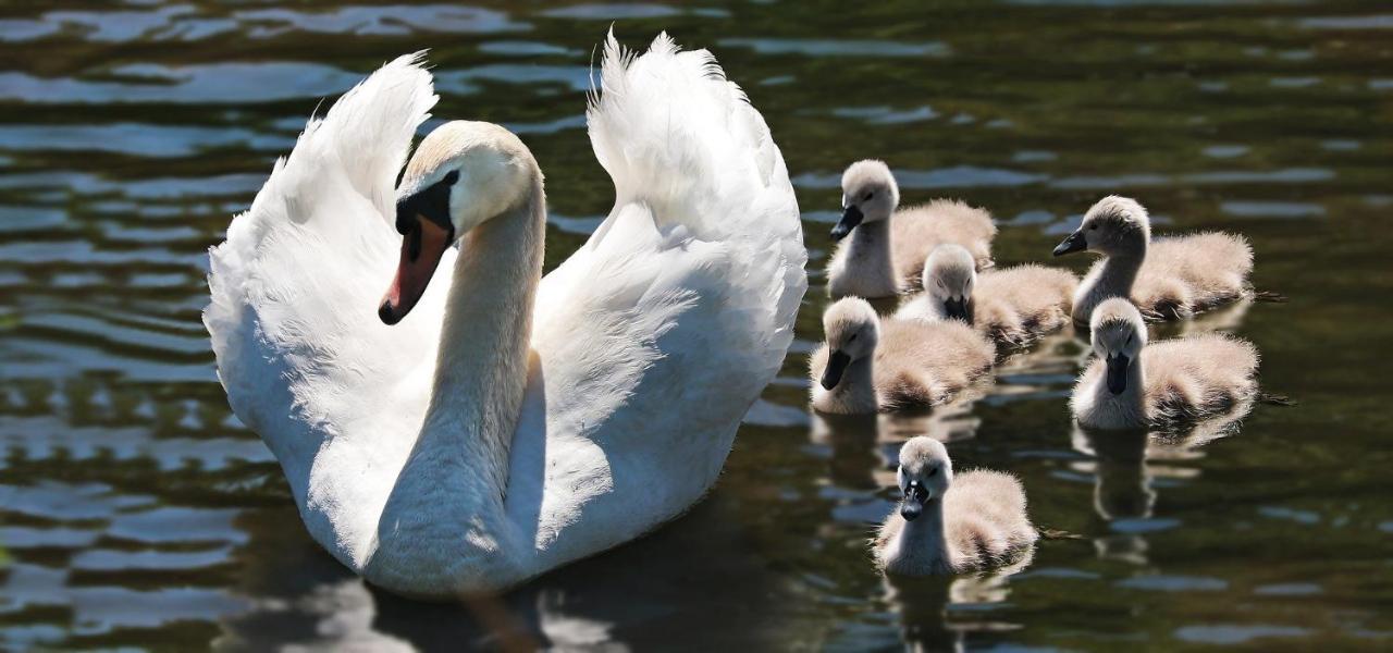 Gaesthus Nornaes Bed & Breakfast エクステリア 写真