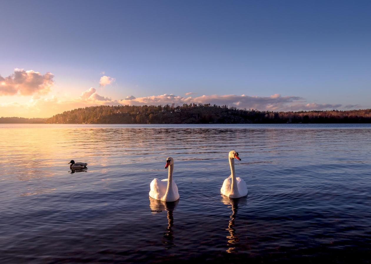 Gaesthus Nornaes Bed & Breakfast エクステリア 写真
